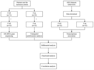 Exploration of Crucial Mediators for Carotid Atherosclerosis Pathogenesis Through Integration of Microbiome, Metabolome, and Transcriptome